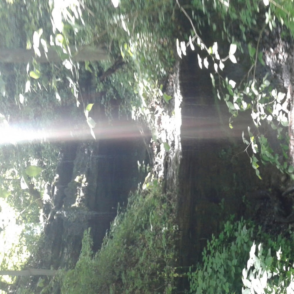 Meet your Posher, Wwjd